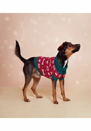 SIX Hunde Accessoire Winterliches Muster 4 SIX Hunde Accessoire Winterliches Muster – Bild 4