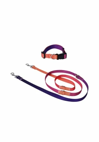 SIX Hunde-Halsband Mit Leine 1 SIX Hunde-Halsband Mit Leine