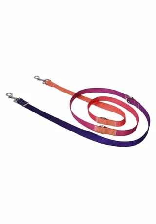 SIX Hunde-Halsband Mit Leine 2 SIX Hunde-Halsband Mit Leine – Bild 2