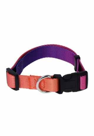 SIX Hunde-Halsband Mit Leine 3 SIX Hunde-Halsband Mit Leine – Bild 3