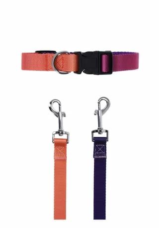 SIX Hunde-Halsband Mit Leine 4 SIX Hunde-Halsband Mit Leine – Bild 4