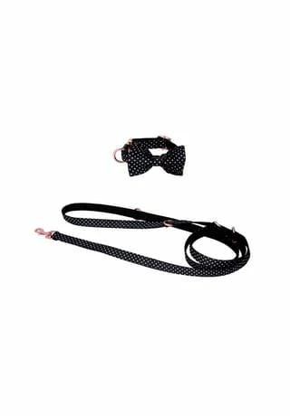 SIX Hunde-Halsband Mit Schleife Und Leine 1 SIX Hunde-Halsband Mit Schleife Und Leine