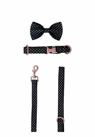 SIX Hunde-Halsband Mit Schleife Und Leine 4 SIX Hunde-Halsband Mit Schleife Und Leine – Bild 4