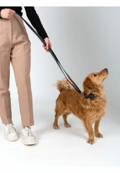 SIX Hunde-Halsband Mit Schleife Und Leine 11 SIX Hunde-Halsband Mit Schleife Und Leine -Wohn-esszimmer Verkäufe unnamed file 1425