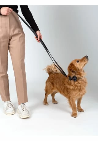 SIX Hunde-Halsband Mit Schleife Und Leine 6 SIX Hunde-Halsband Mit Schleife Und Leine – Bild 6