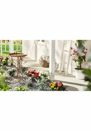 PURE DAY Vogeltränke Bassino 2 PURE DAY Vogeltränke Bassino – Bild 2