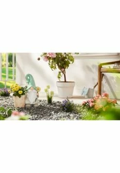 PURE DAY Pflanzentopf Zwerg Mit Blume Bunt -Wohn-esszimmer Verkäufe unnamed file 2049