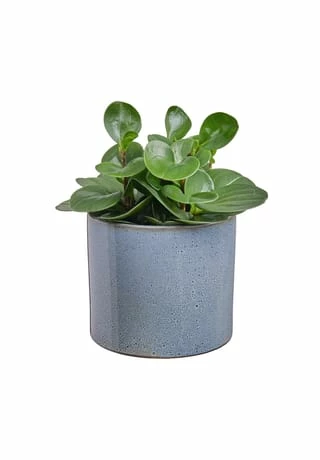 BUTLERS® GLAZE Blumentopf Glasiert Ø17cm 2 BUTLERS® GLAZE Blumentopf Glasiert Ø17cm – Bild 2