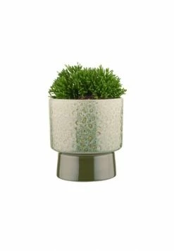 BUTLERS® GREENERY Blumentopf Ø15cm 6 BUTLERS® GREENERY Blumentopf Ø15cm -Wohn-esszimmer Verkäufe unnamed file 2139