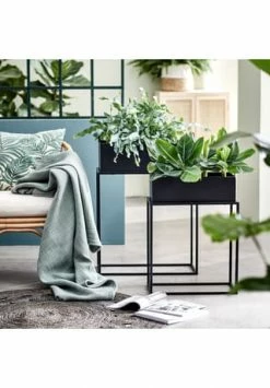 BUTLERS® PLANTA Pflanzkasten Mit Gestell B 55 X T 25cm Schwarz 7 BUTLERS® PLANTA Pflanzkasten Mit Gestell B 55 X T 25cm Schwarz -Wohn-esszimmer Verkäufe unnamed file 2152