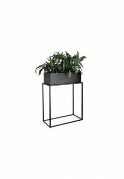 BUTLERS® PLANTA Pflanzkasten Mit Gestell B 45 X T 21cm Schwarz 8 BUTLERS® PLANTA Pflanzkasten Mit Gestell B 45 X T 21cm Schwarz -Wohn-esszimmer Verkäufe unnamed file 2159