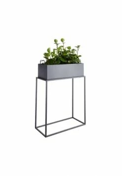 BUTLERS® PLANTA Pflanzkasten Mit Gestell B 55 X T 25cm Grau 8 BUTLERS® PLANTA Pflanzkasten Mit Gestell B 55 X T 25cm Grau -Wohn-esszimmer Verkäufe unnamed file 2165