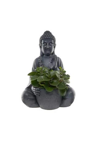 BUTLERS® BUDDHA Statue Mit Blumentopf Höhe 69cm 3 BUTLERS® BUDDHA Statue Mit Blumentopf Höhe 69cm – Bild 3