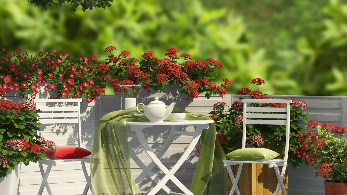 Wohn-esszimmer Verkäufe -Wohn-esszimmer Verkäufe balkon rot weiss petunien iStock 468388448